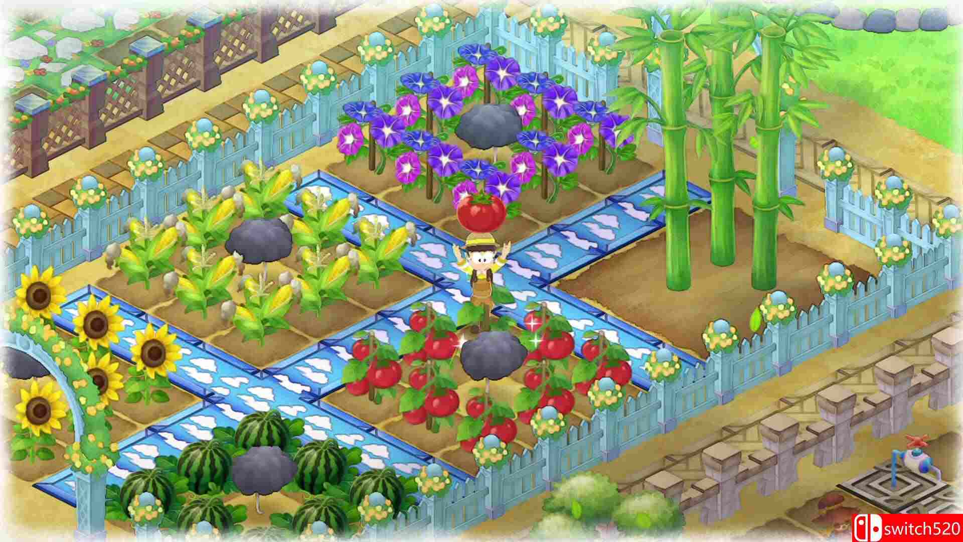 《哆啦A梦牧场物语：自然王国与和乐家人（DORAEMON STORY SEASONS: FotGK）》试玩版 P2P硬盘版[CN/EN]_5