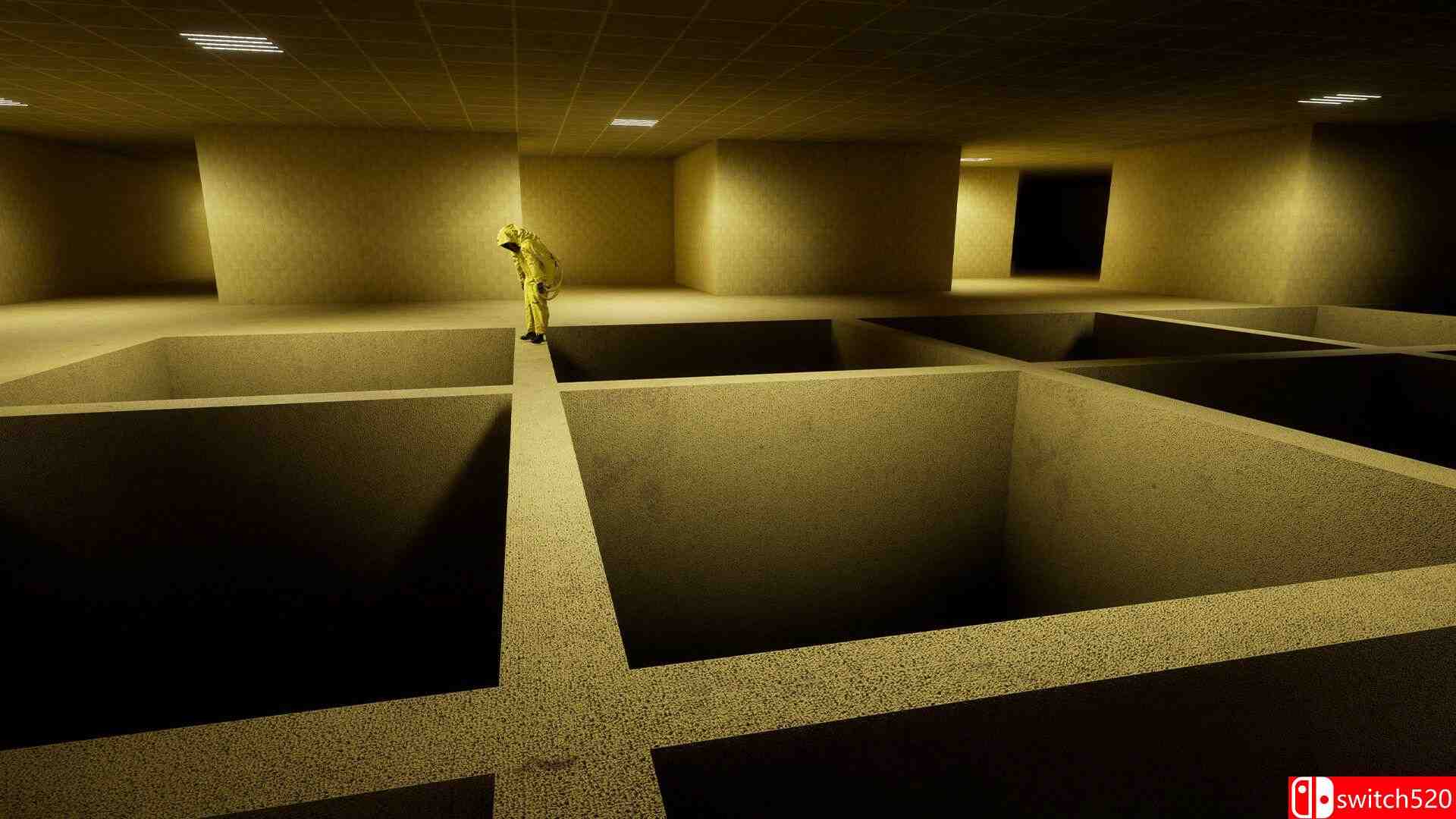 《密室：一起逃亡（Backrooms: Escape Together）》Early Access P2P硬盘版[EN]_3