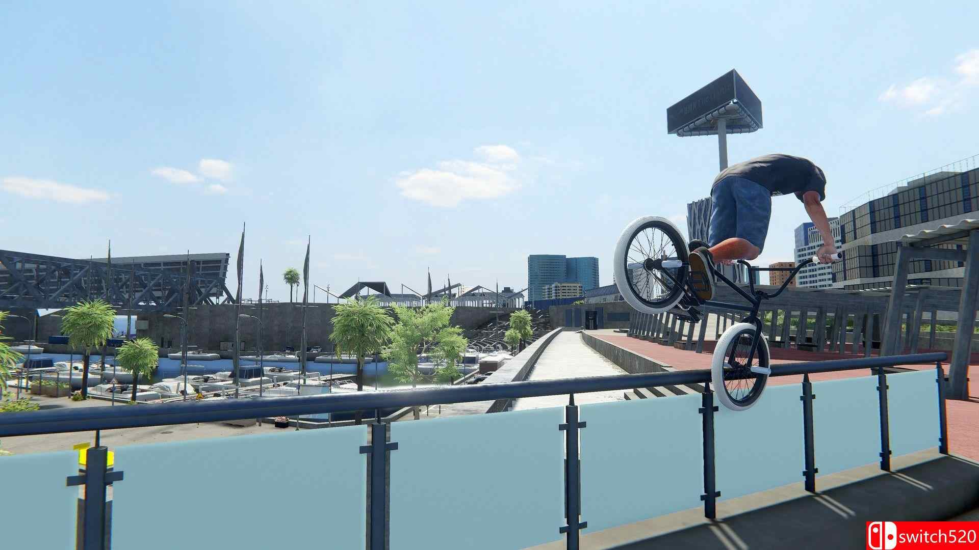 《BMX The Game（BMX The Game）》v0.9.0.8 P2P硬盘版[EN]_4
