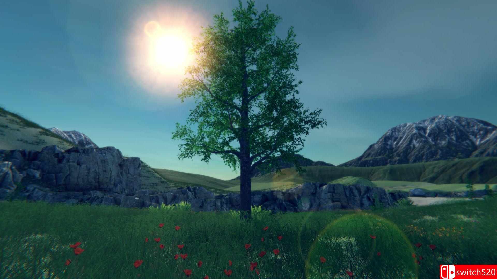 《树木模拟器2023（Tree Simulator 2023）》Build 10072228 P2P硬盘版[EN]_1
