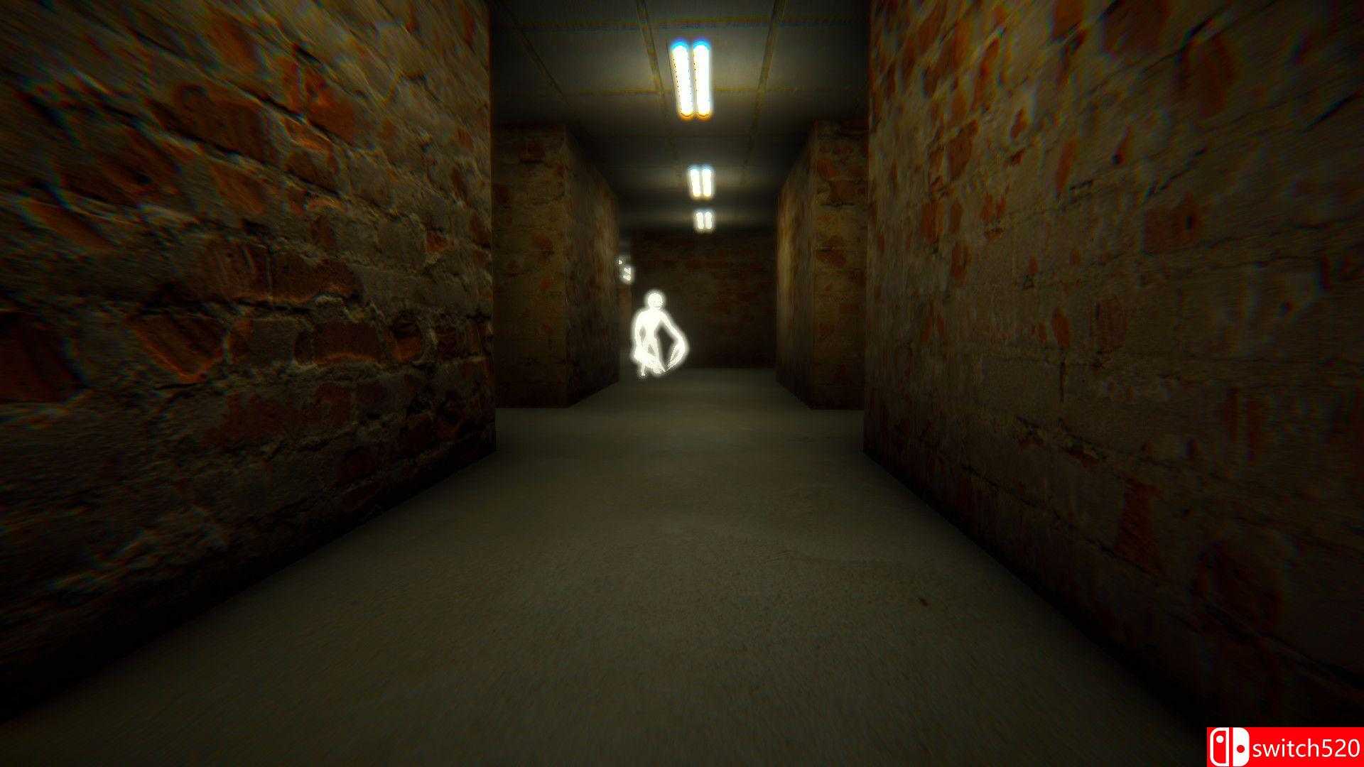 《新后室（BackRoomsNew）》TENOKE镜像版[EN]_3