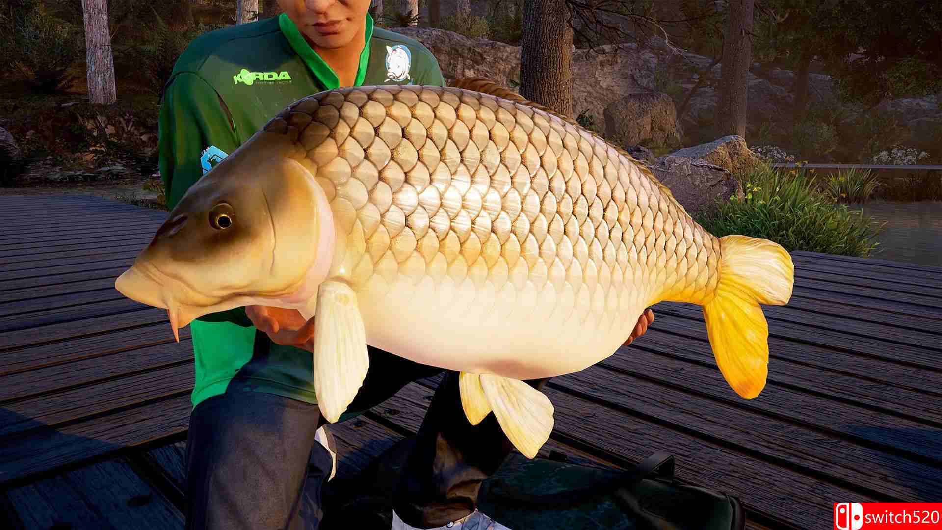 《钓鱼模拟世界: 职业巡回赛（Fishing Sim World®: Pro Tour）》官方中文 P2P硬盘版[CN/EN]_2