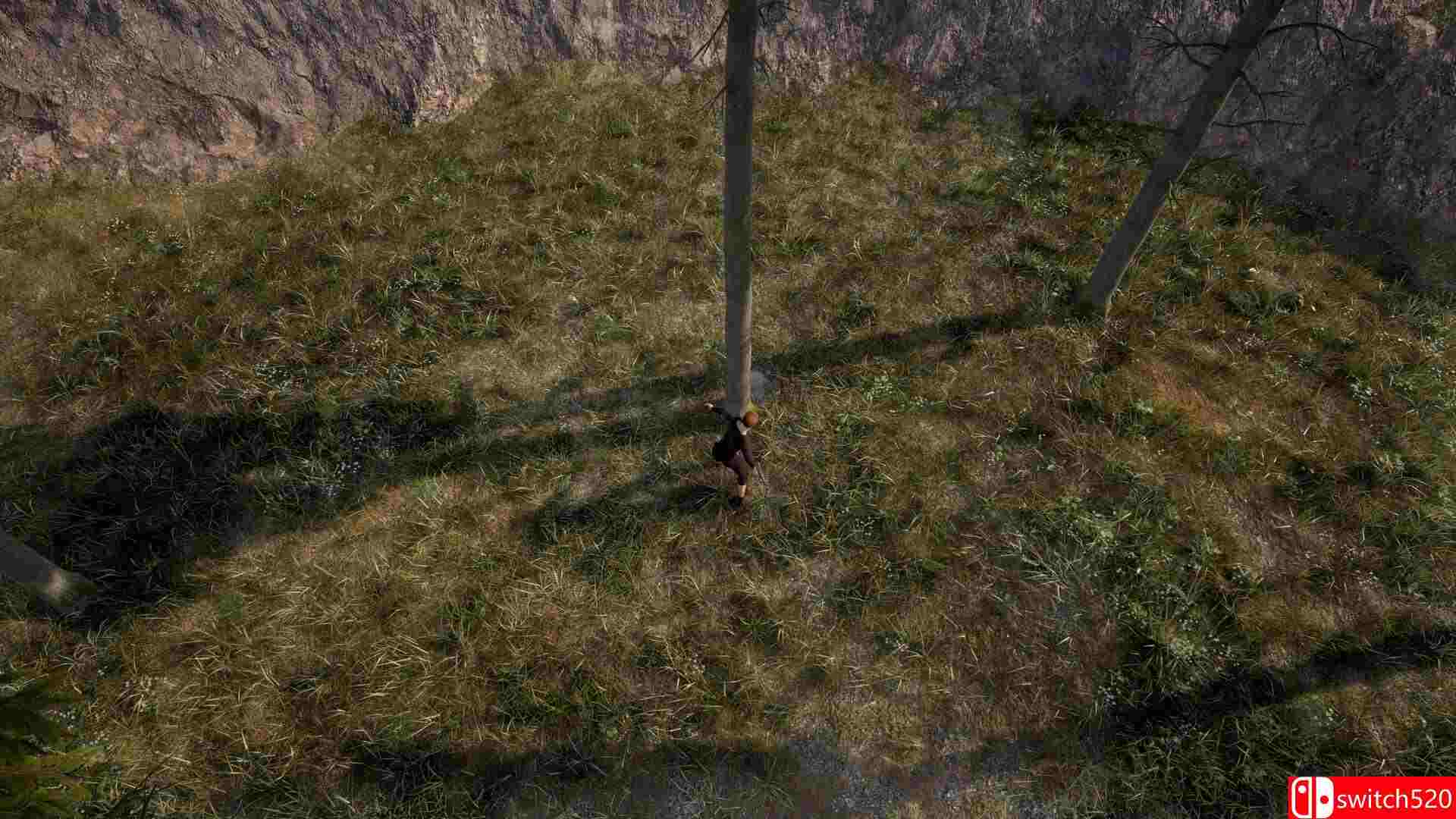 《环形使者（Ringborn）》TENOKE镜像版[EN]_5