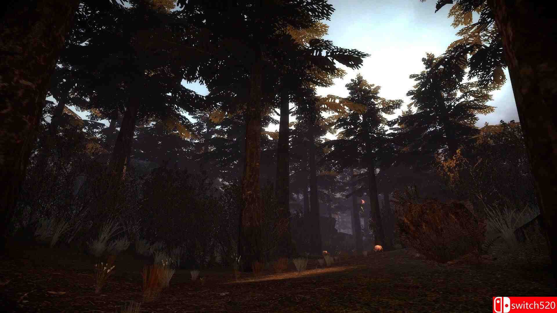 《撤离（Evacuation）》v1.3 P2P硬盘版[EN]_2