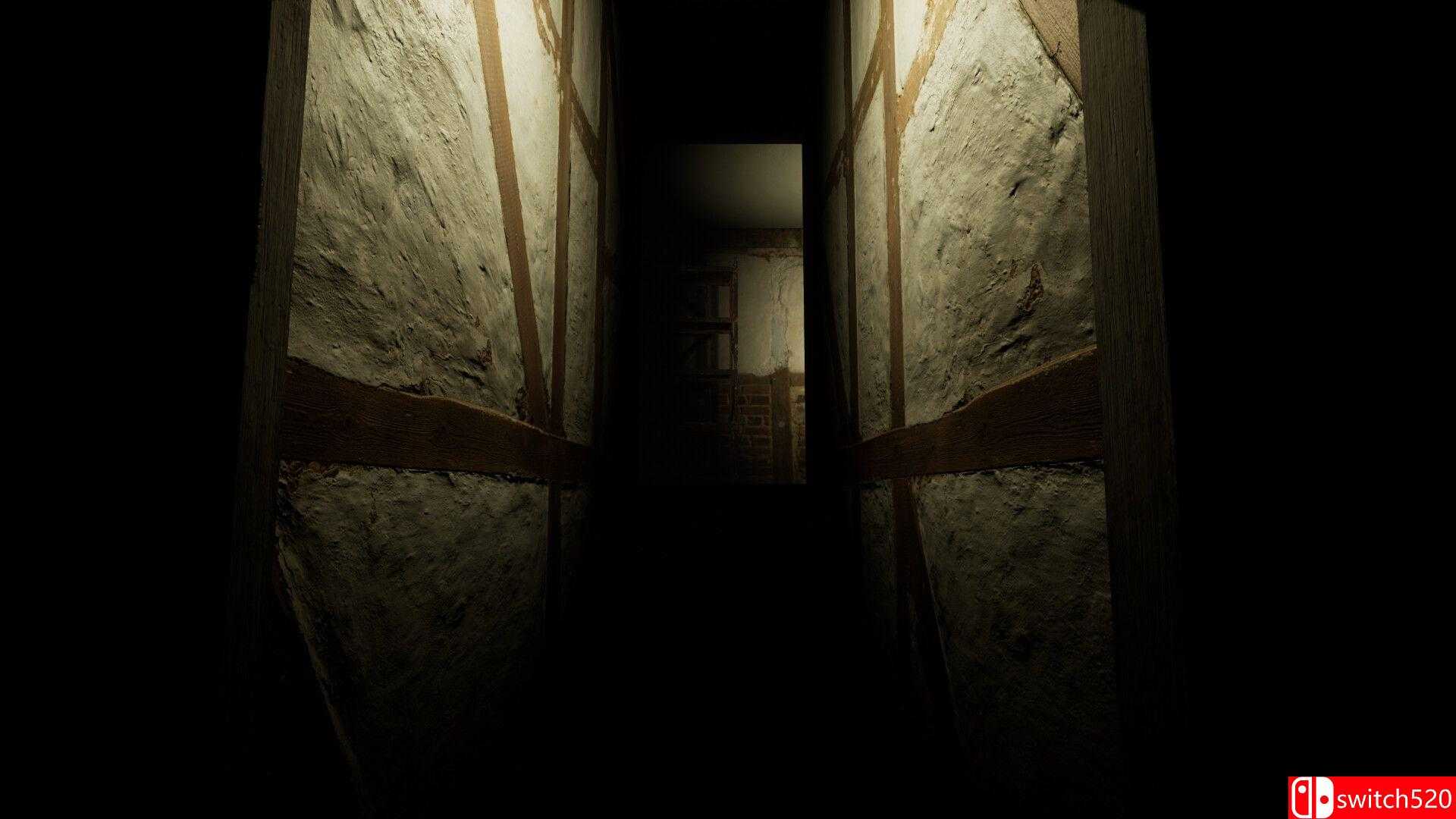 《打开的门（OPEN DOOR）》官方中文 TENOKE镜像版[TW/EN/JP]_1