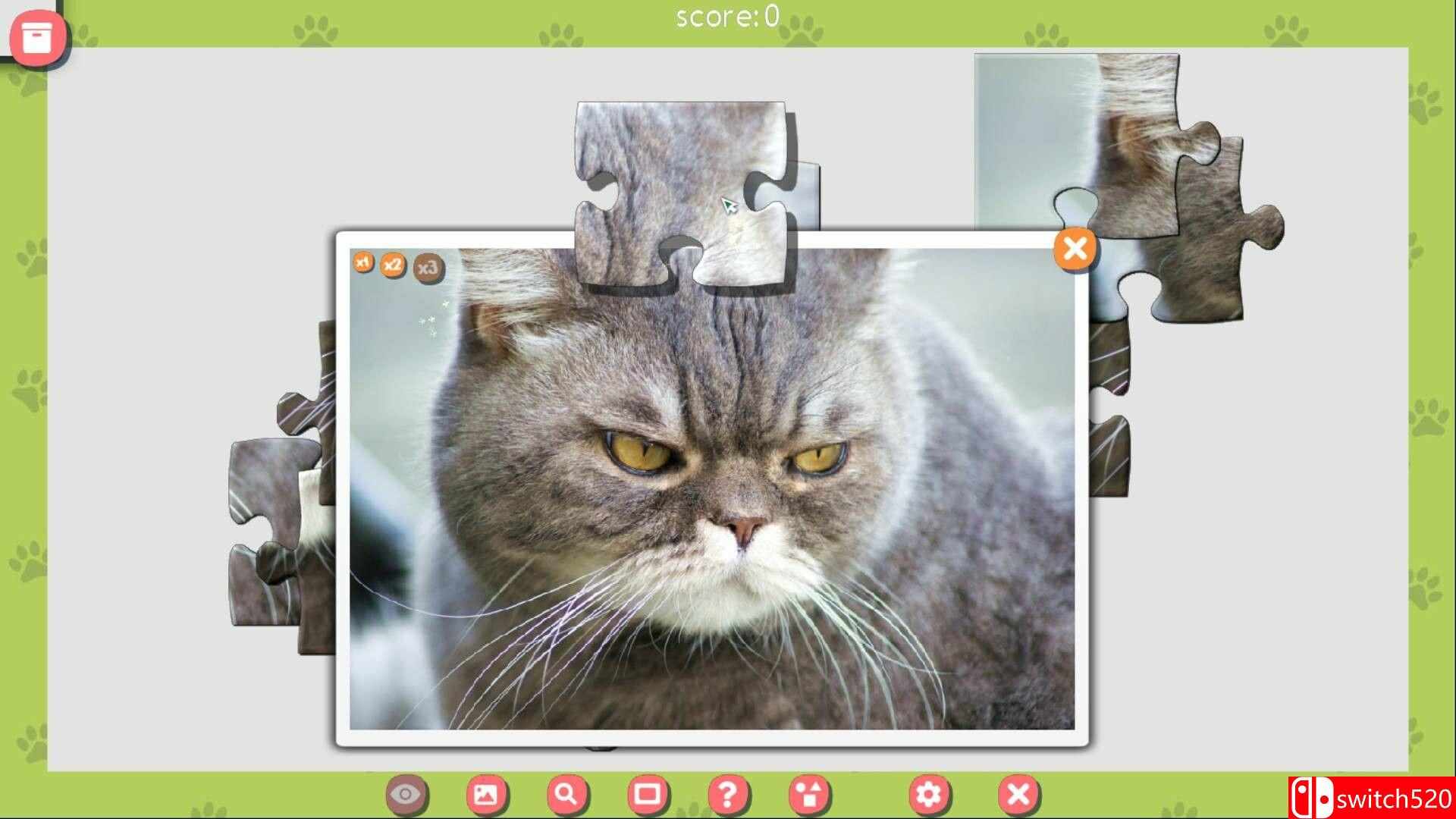 《1001拼图：可爱猫咪（1001 Jigsaw. Cute Cats 3）》RAZOR硬盘版[EN]_5