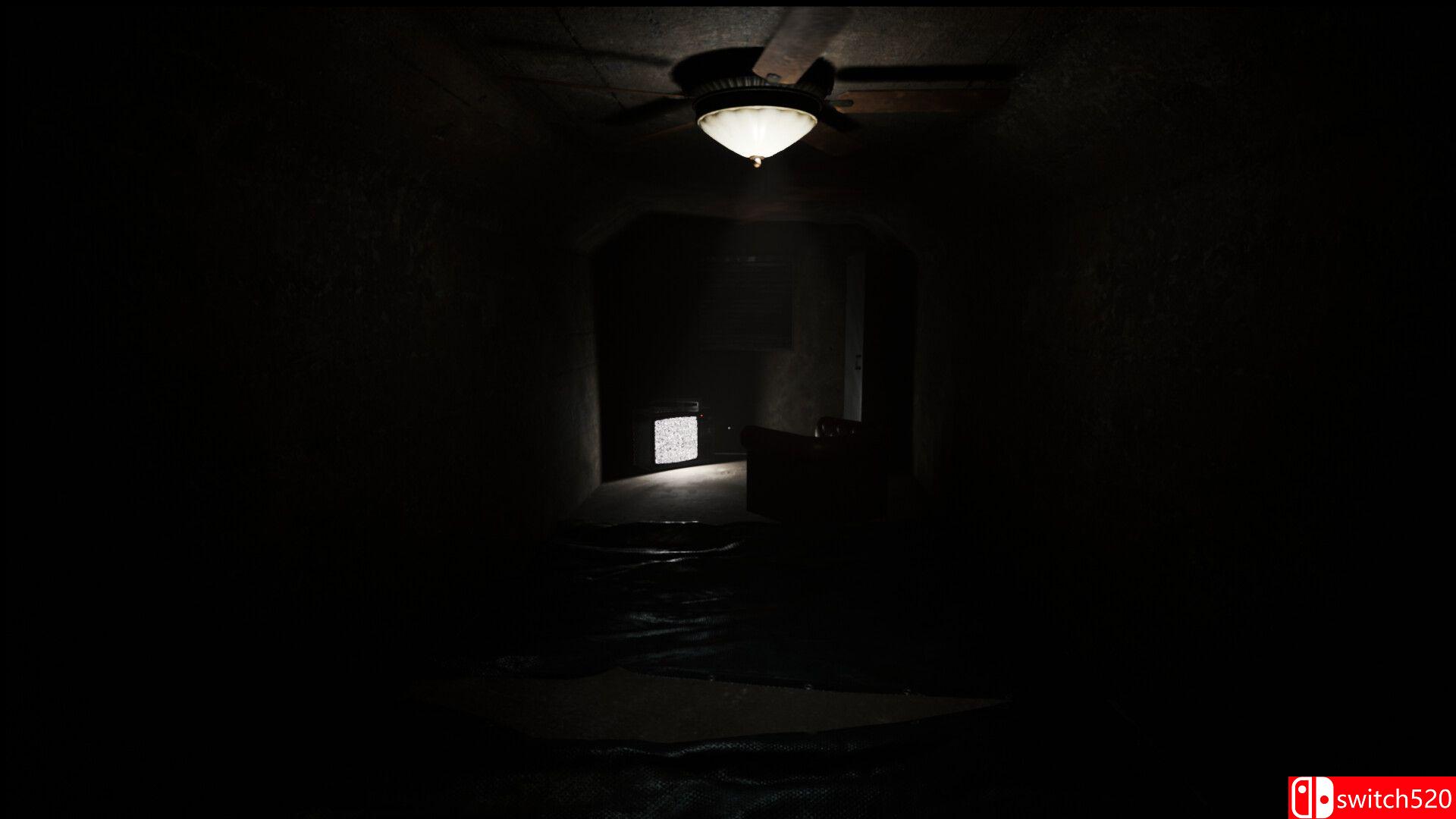 《凤凰噩梦（Phoenix Nightmare）》TENOKE镜像版[EN]_5
