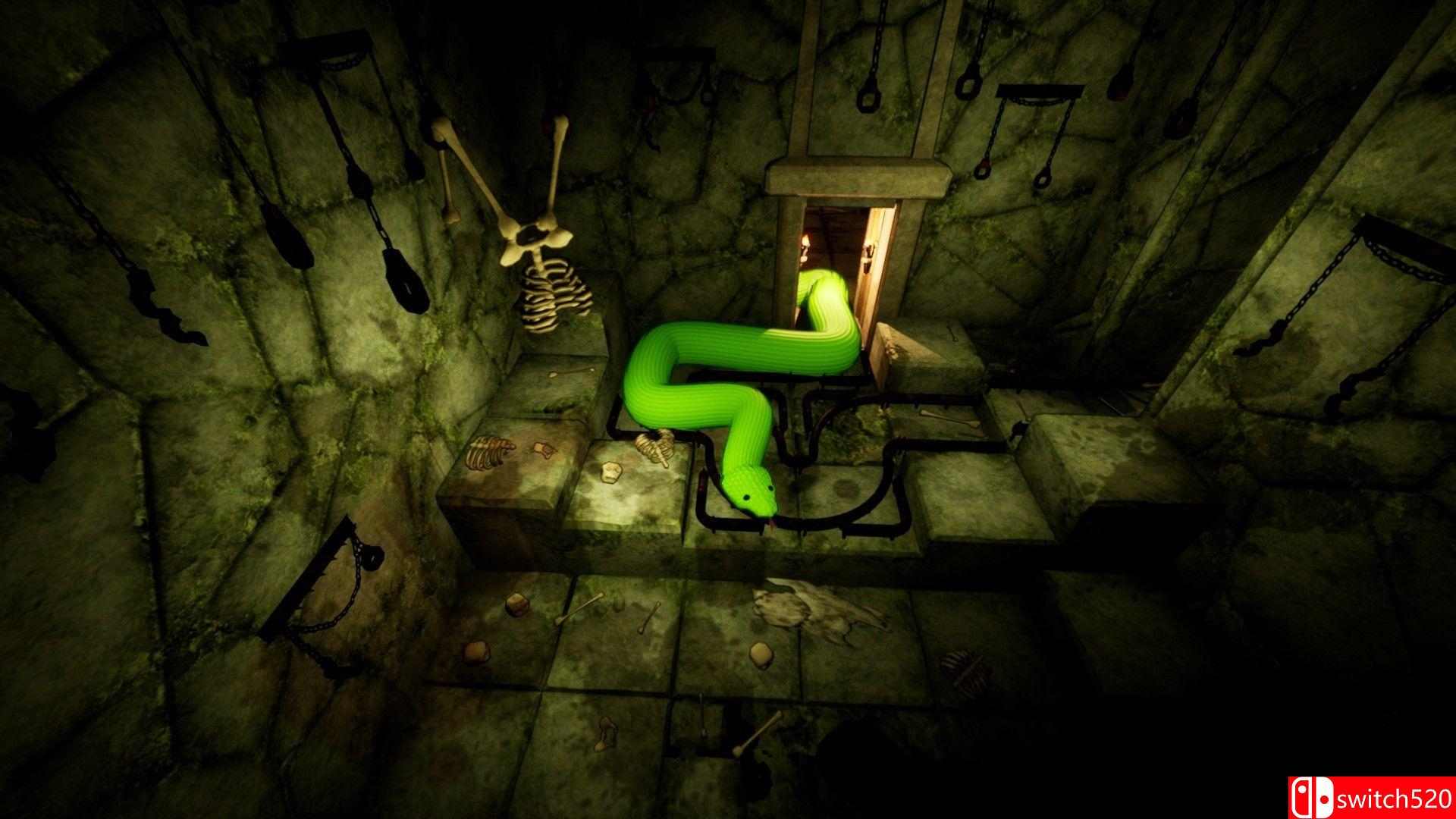 《蛇蛇神庙（Temple Of Snek）》官方中文 TENOKE镜像版[CN/TW/EN][更新升级档]_5