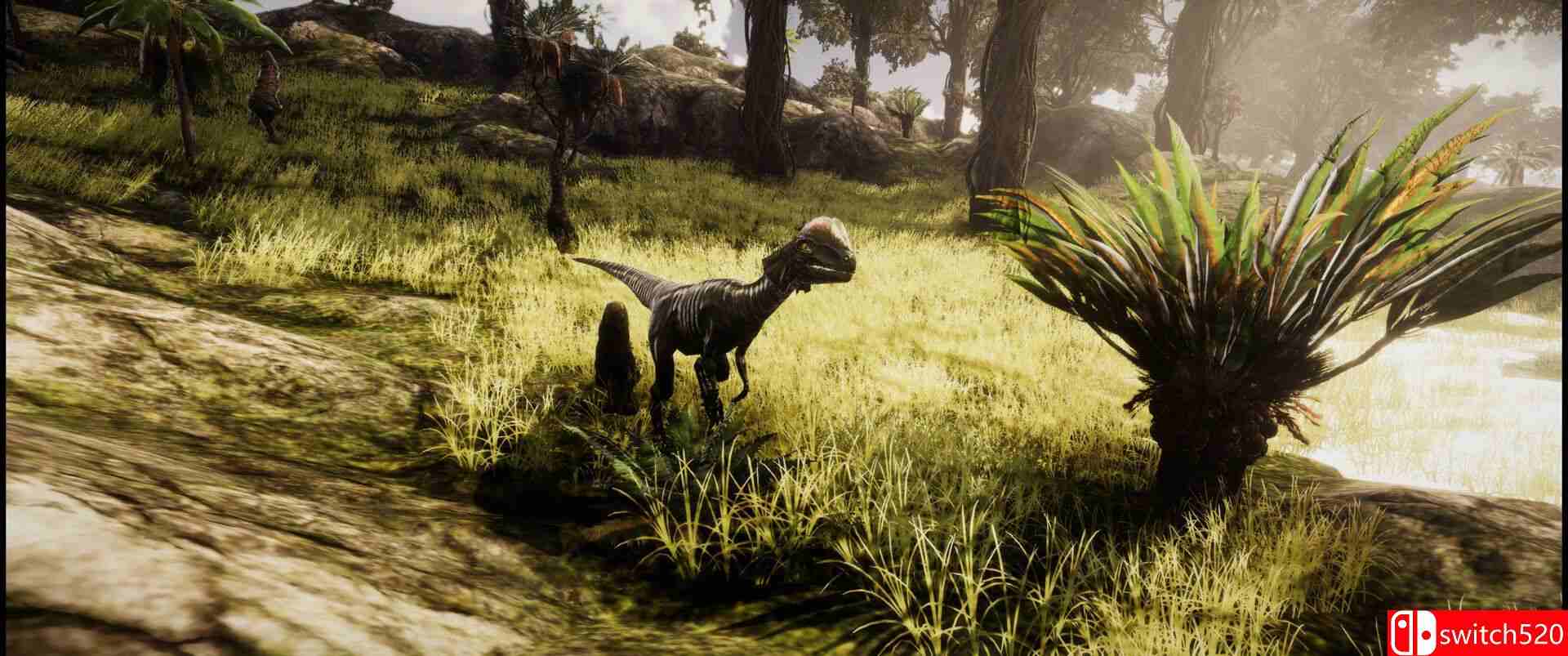 《恐龙模拟器（Dinosaur Simulator）》TENOKE镜像版[EN]_5