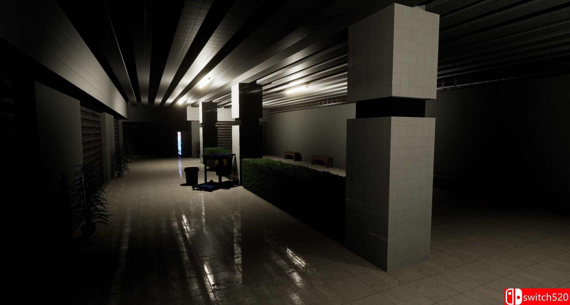 《边缘项目：重制版（Project Liminal Redux）》DARKSiDERS镜像版[EN]_5