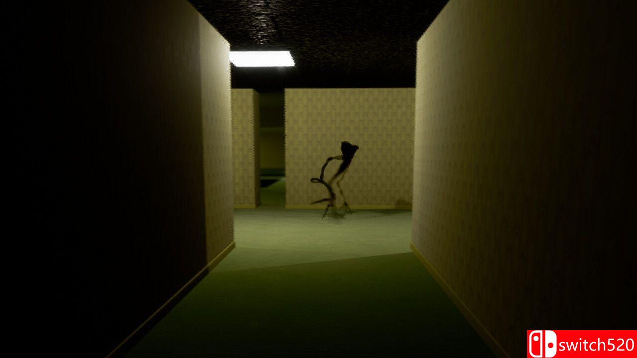 《密室项目：丢失的文件（Backrooms Project: The lost file）》TENOKE镜像版[EN]_3