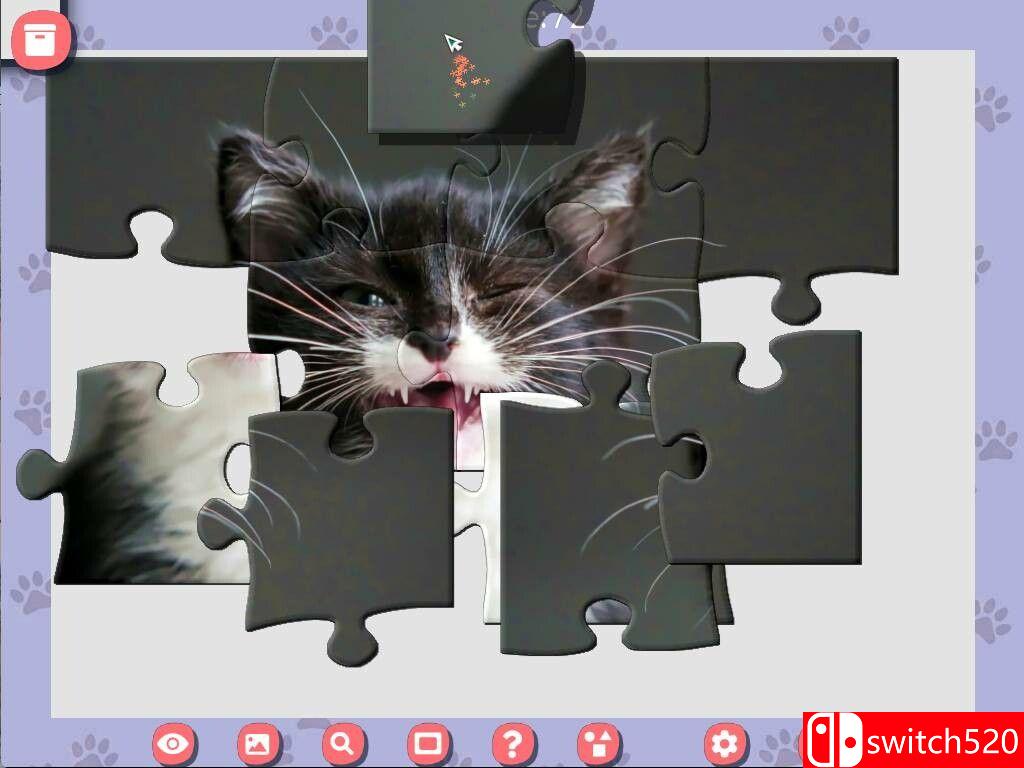 《1001拼图：可爱猫咪4（1001 Jigsaw. Cute Cats 4）》RAZOR硬盘版[EN]_2