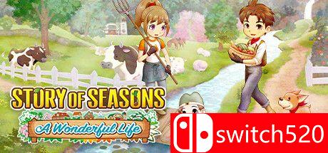《牧场物语 Welcome！美丽人生（STORY OF SEASONS: Wonderful Life）》RUNE镜像版[CN/EN/JP]