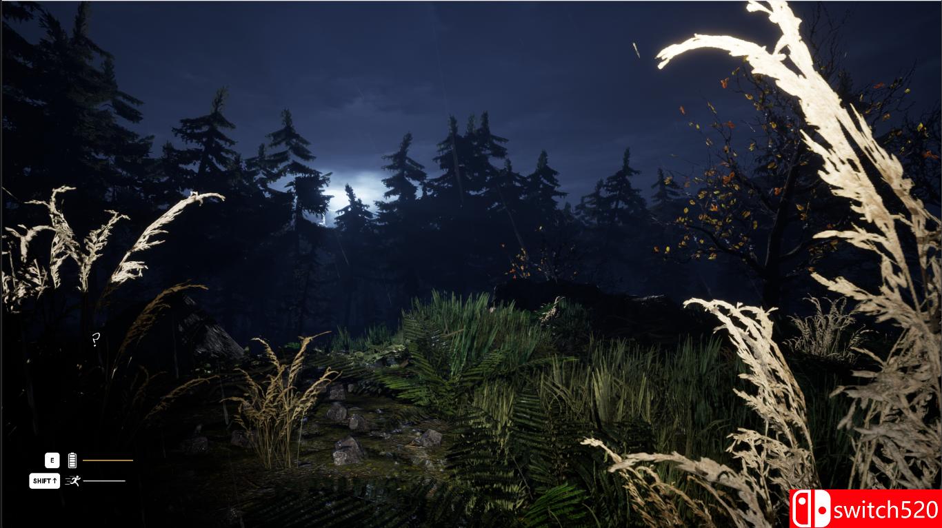 《阴影中的回声1：低语松树（Echoes Of Shadows I Whispering Pines）》bADkARMA硬盘版[EN]_3