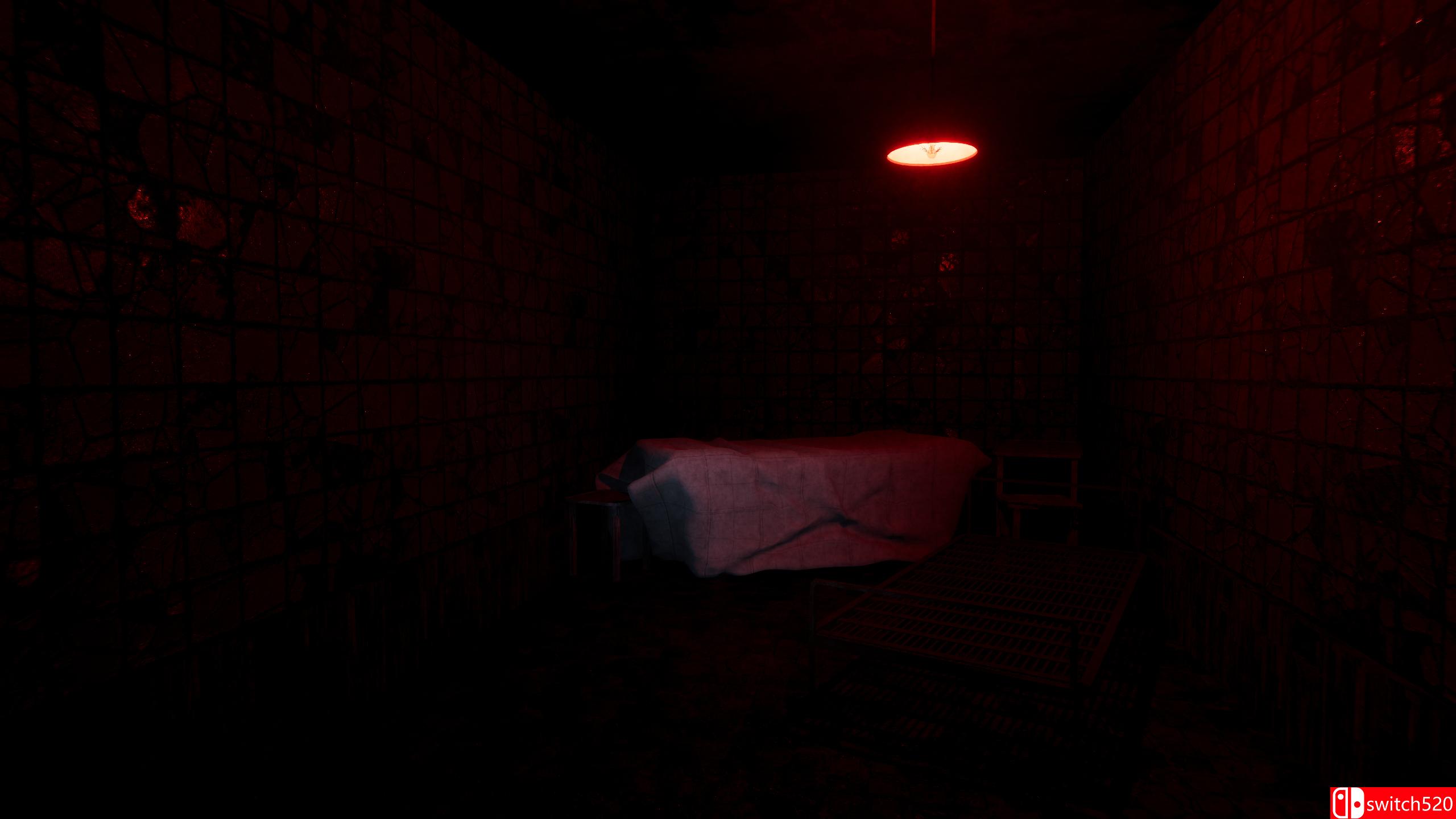 《哀伤疯人院（Sorrow Asylum）》bADkARMA硬盘版[EN]_3