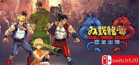 《双截龙外传：龙之崛起（Double Dragon Gaiden:Rise Of The Dragons）》VACE硬盘版[CN/EN]