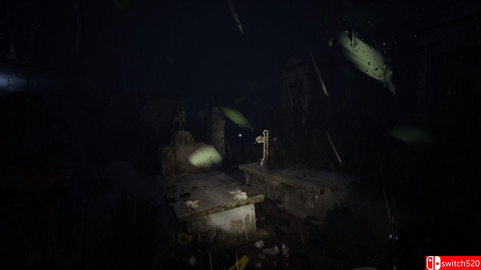 《以太之影（Shadow of Ether）》TENOKE镜像版[EN]_4