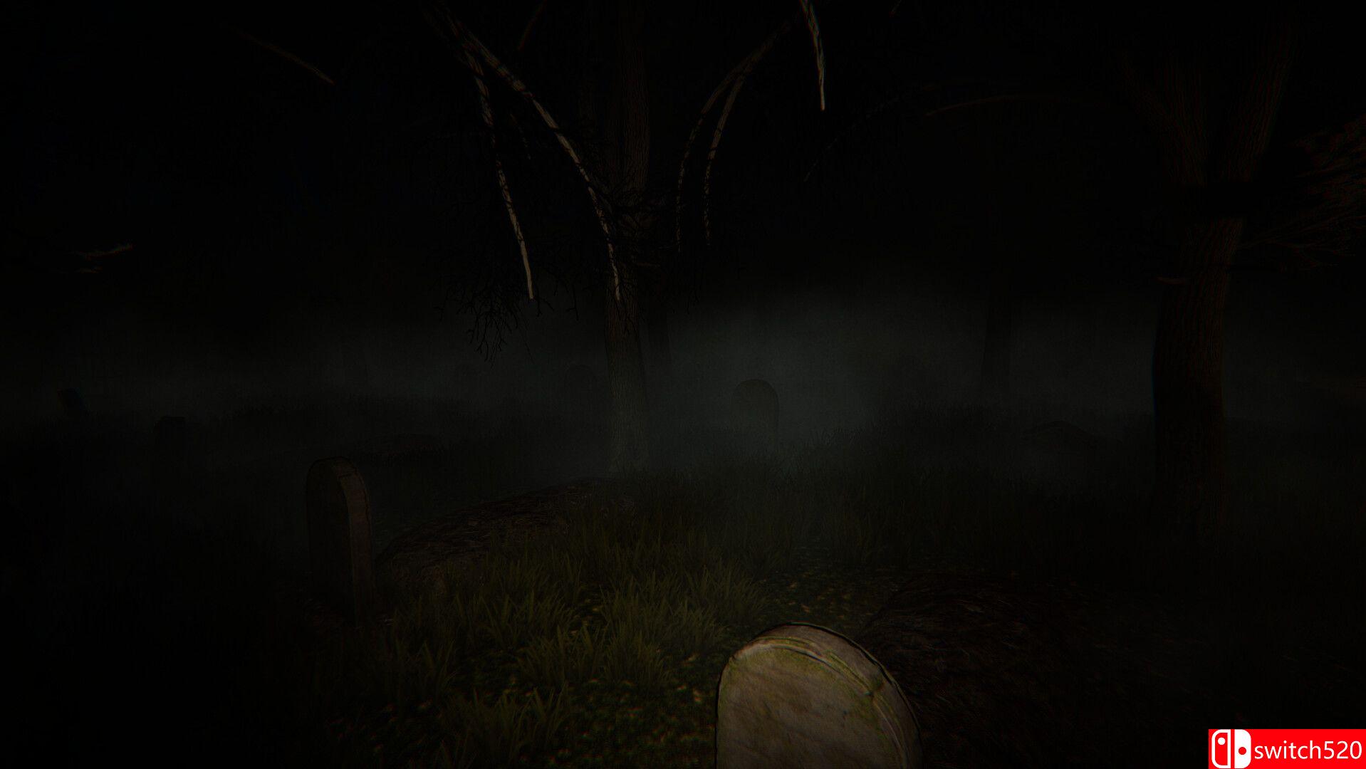 《闹鬼调查（Haunted Investigation）》TENOKE镜像版[EN][更新升级档]_3
