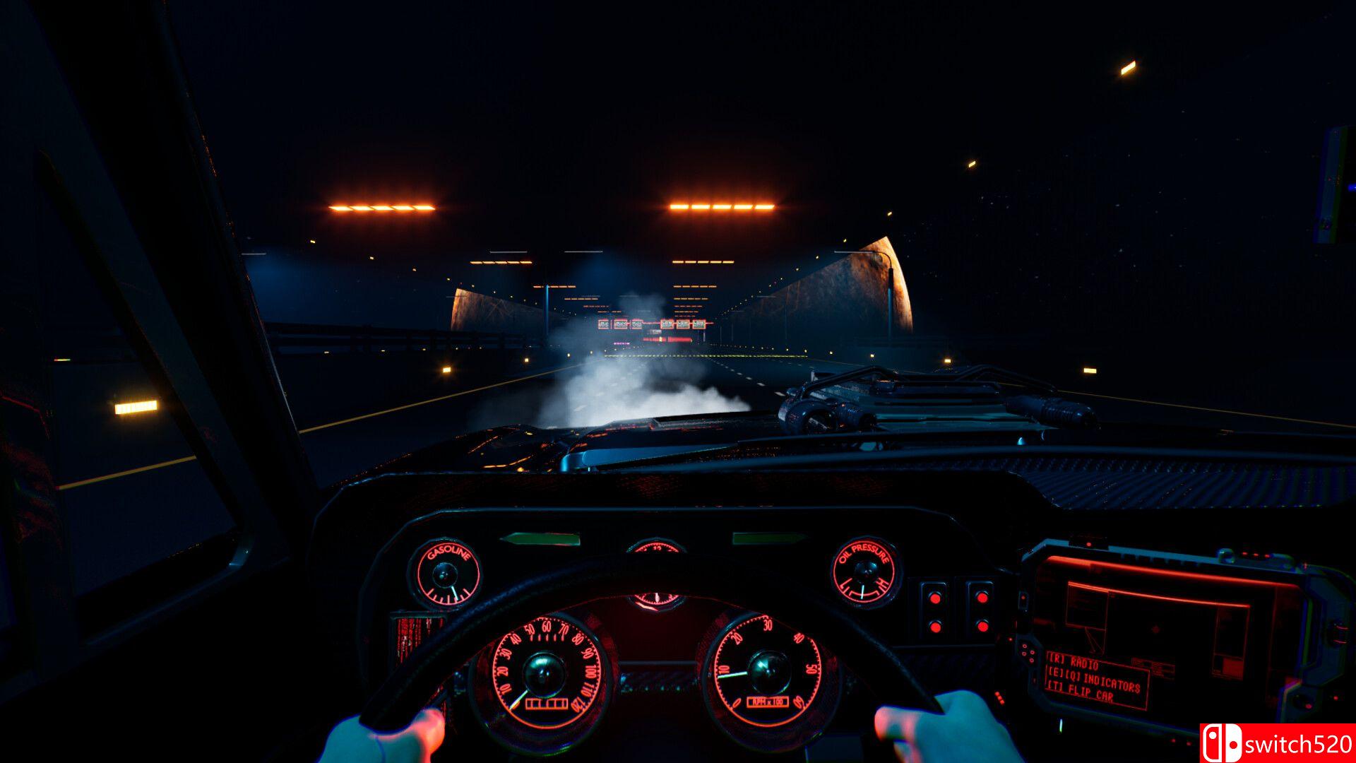《赛博空间驾驶员（Cyber Space Driver）》TENOKE镜像版[EN]_4