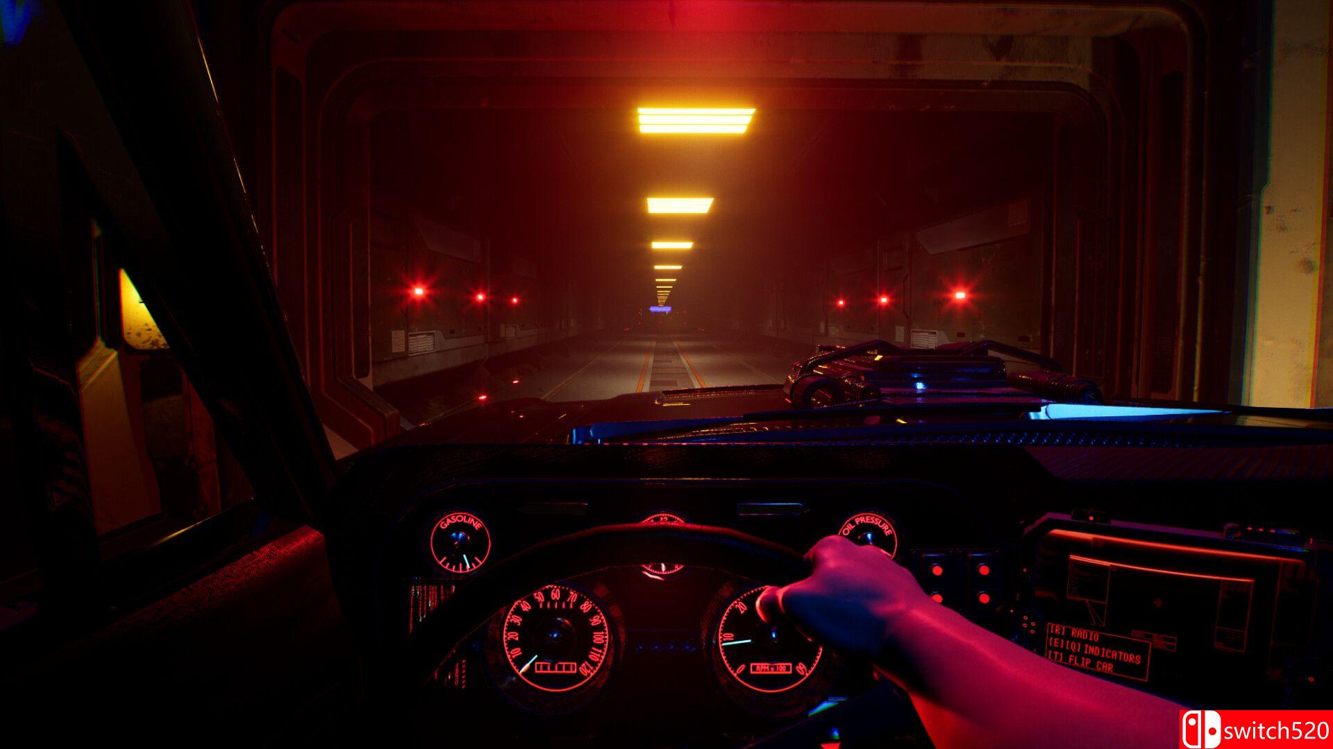 《赛博空间驾驶员（Cyber Space Driver）》TENOKE镜像版[EN]_3