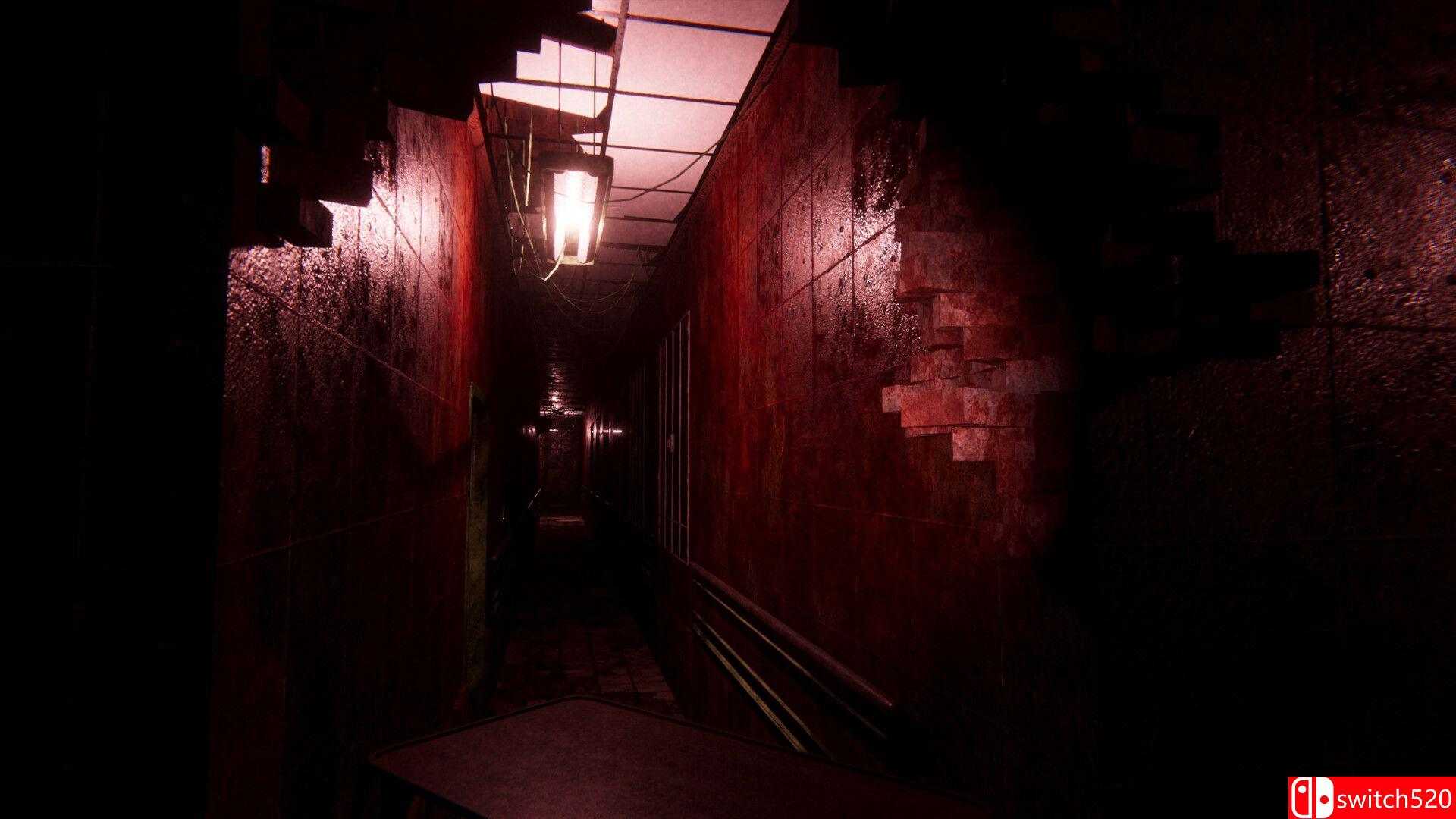 《悲伤精神病院2（Sorrow Asylum 2）》TENOKE镜像版[EN]_4