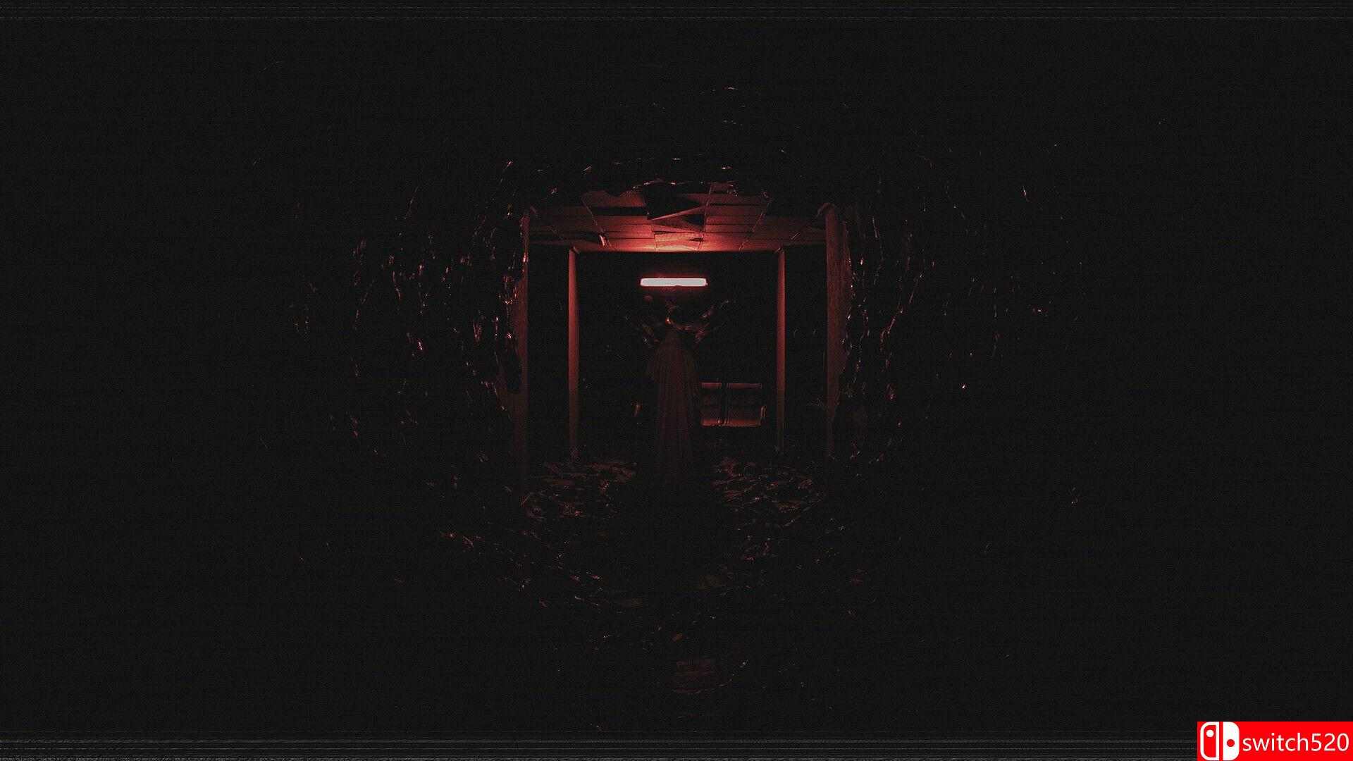 《超自然VHS（Paranormal VHS）》TENOKE镜像版[EN]_3
