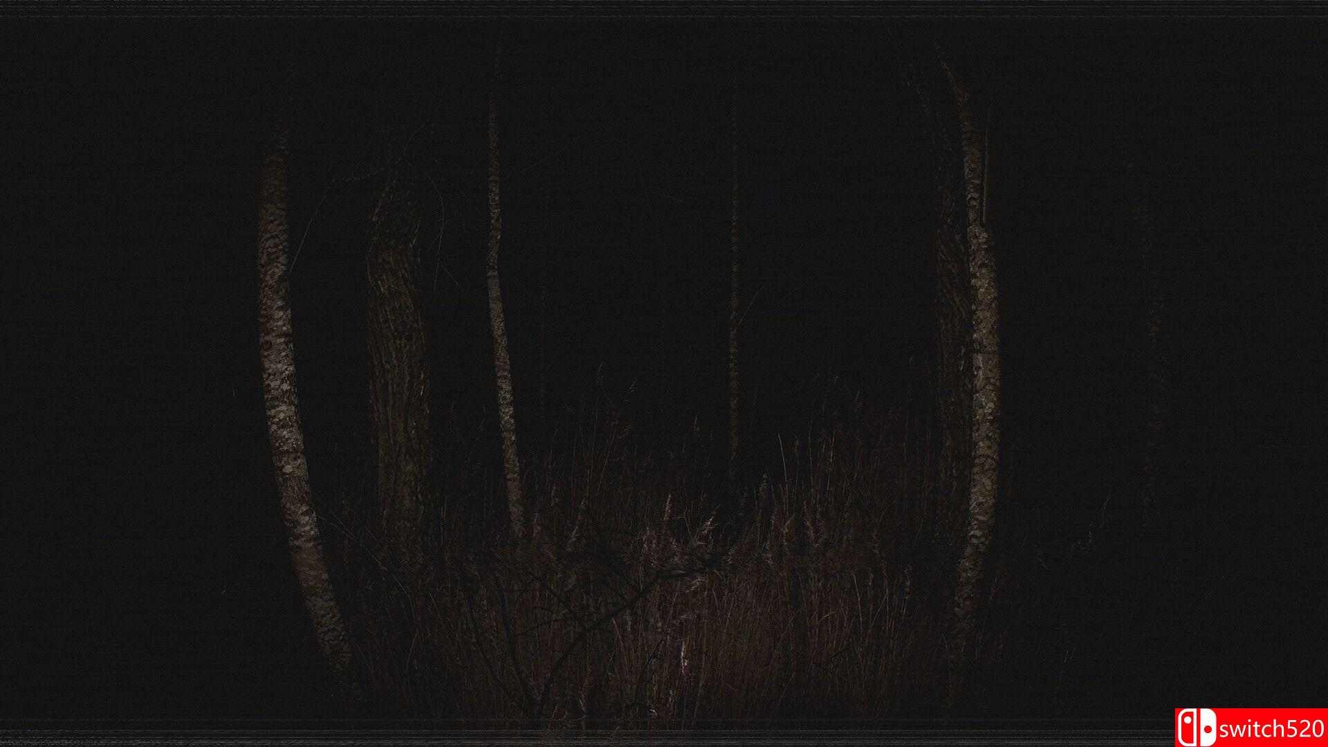 《超自然VHS（Paranormal VHS）》TENOKE镜像版[EN]_1