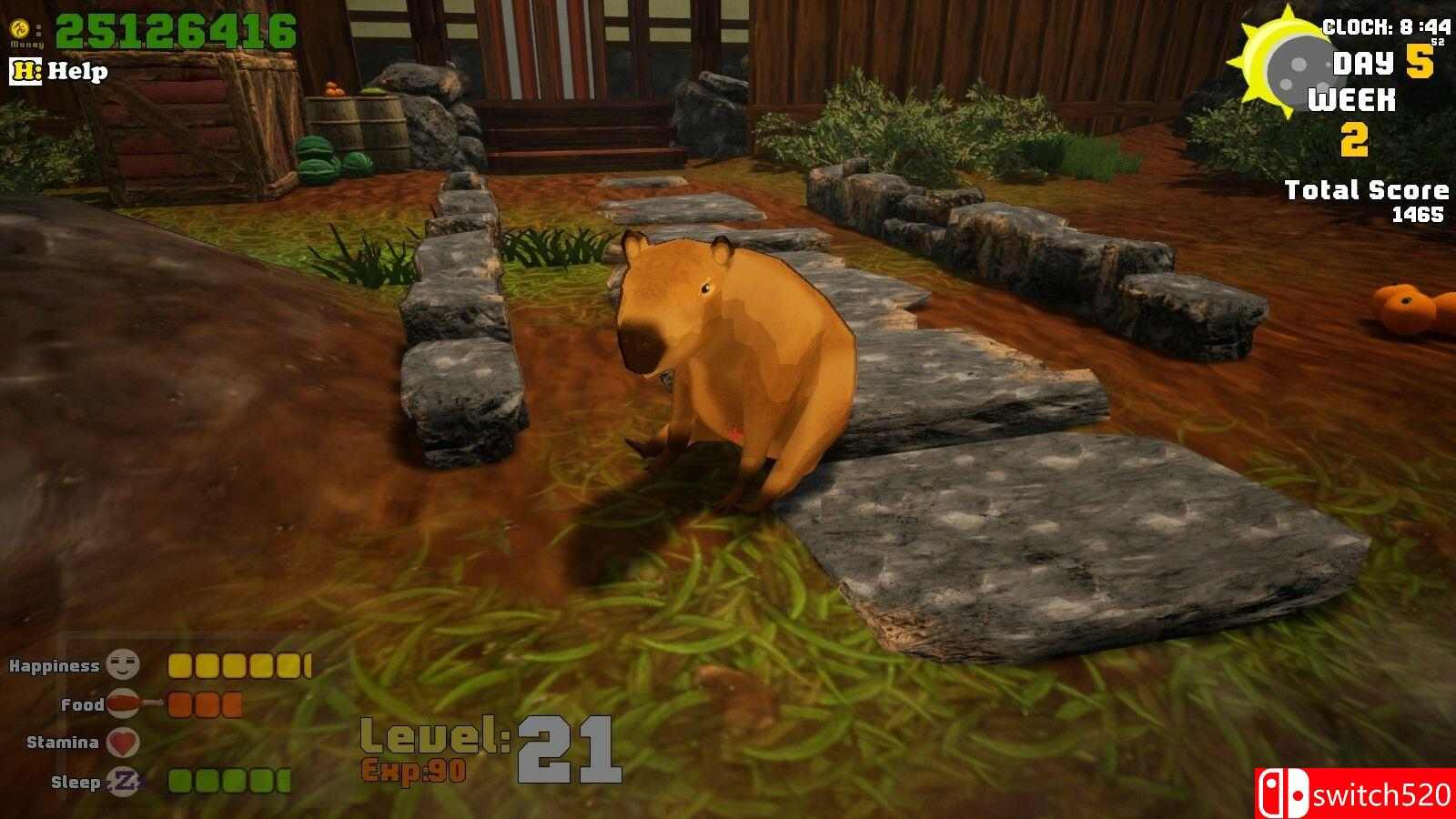 《我相信水豚至上！（I Believe in Capybara Supremacy!）》TENOKE镜像版[EN]_2