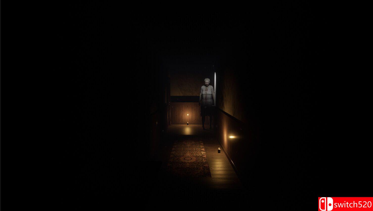 《不速之客（The Guest）》TENOKE镜像版[EN]_5