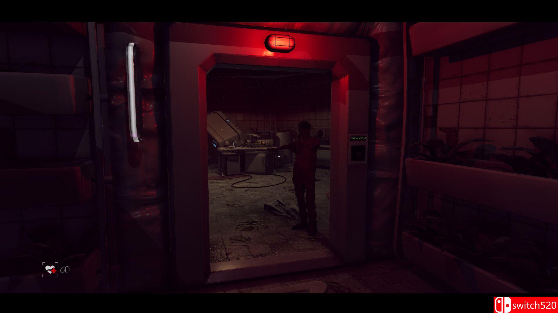 《虚无（The Voidness - Lidar Horror Survival Game）》TENOKE镜像版[EN]_4