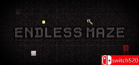 《无尽迷宫（Endless Maze）》Build 12558615 P2P硬盘版[EN]