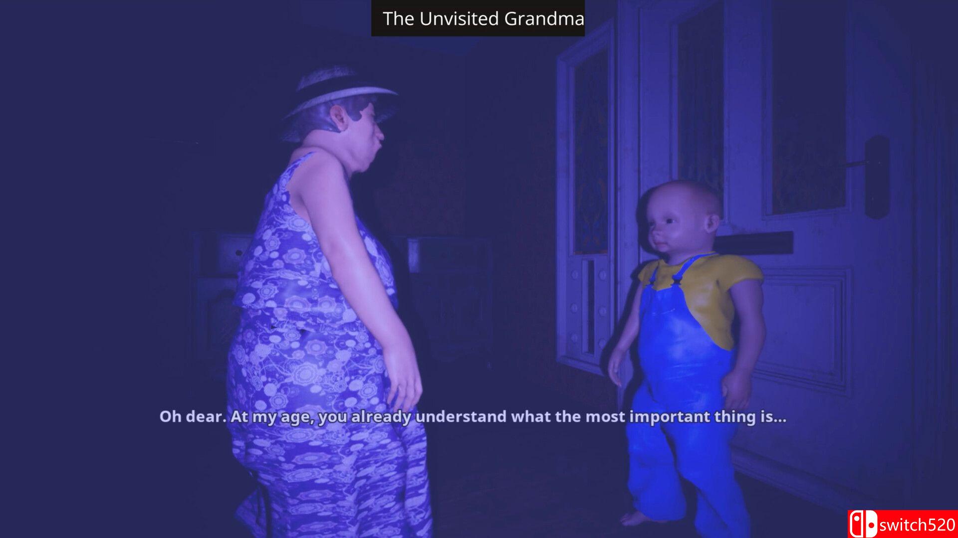 《无人拜访的奶奶（The Unvisited Grandma）》TENOKE镜像版[EN]_4