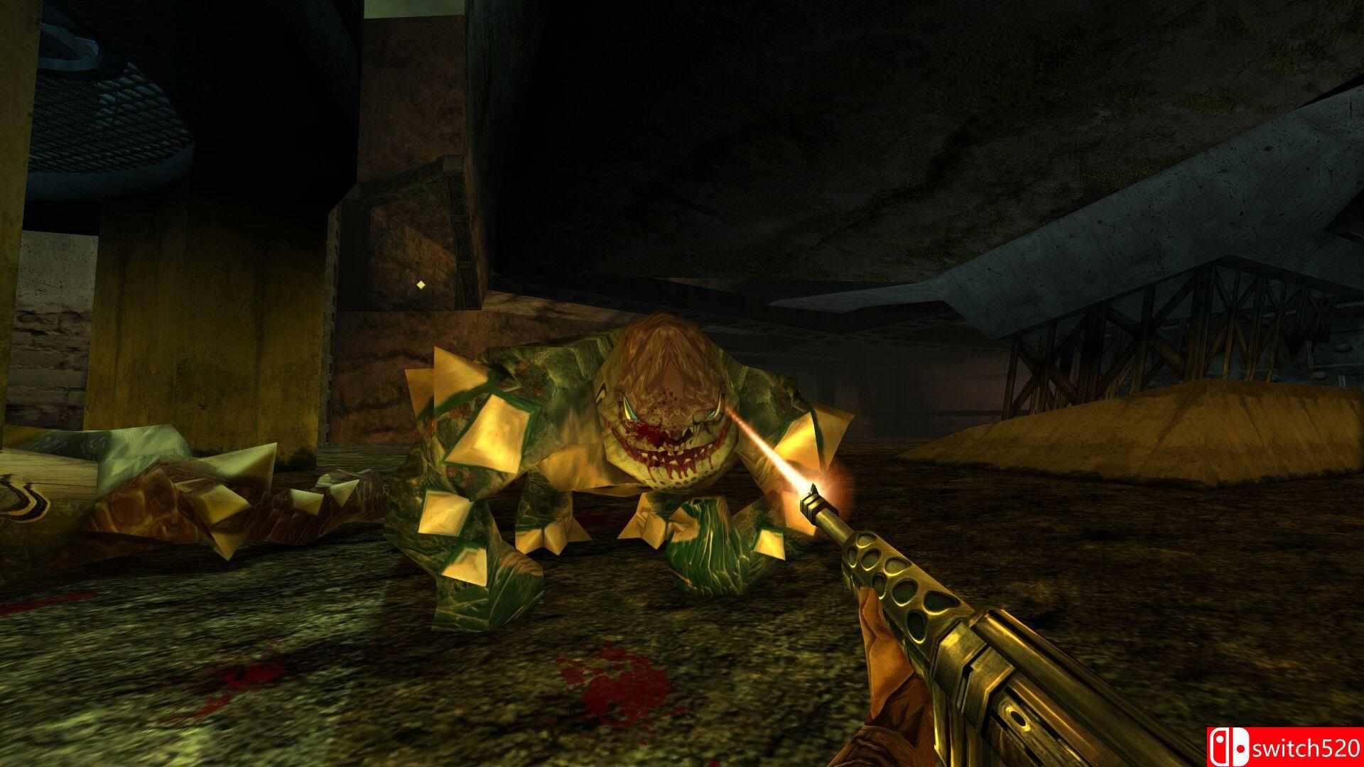 《图洛克3：湮灭之影 重制版（Turok 3: Shadow of Oblivion Remastered）》TENOKE镜像版[EN]_4