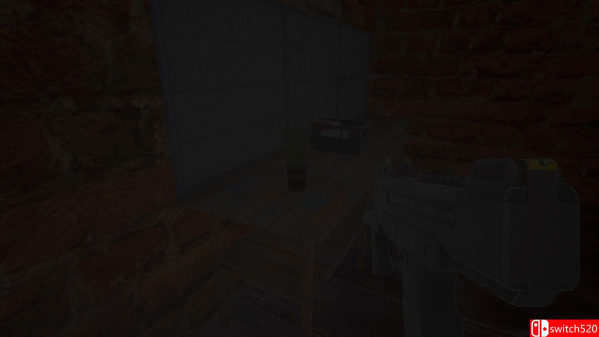 《虚空还是空洞（Void or Hollow）》TENOKE镜像版[EN]_4