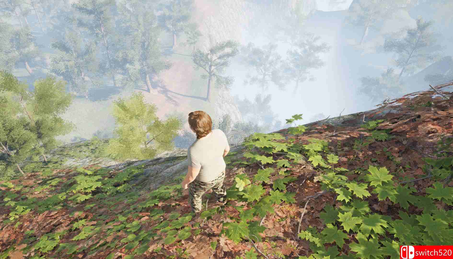 《草药猎人（Herbal Hunter）》TiNYiSO镜像版[EN]_4