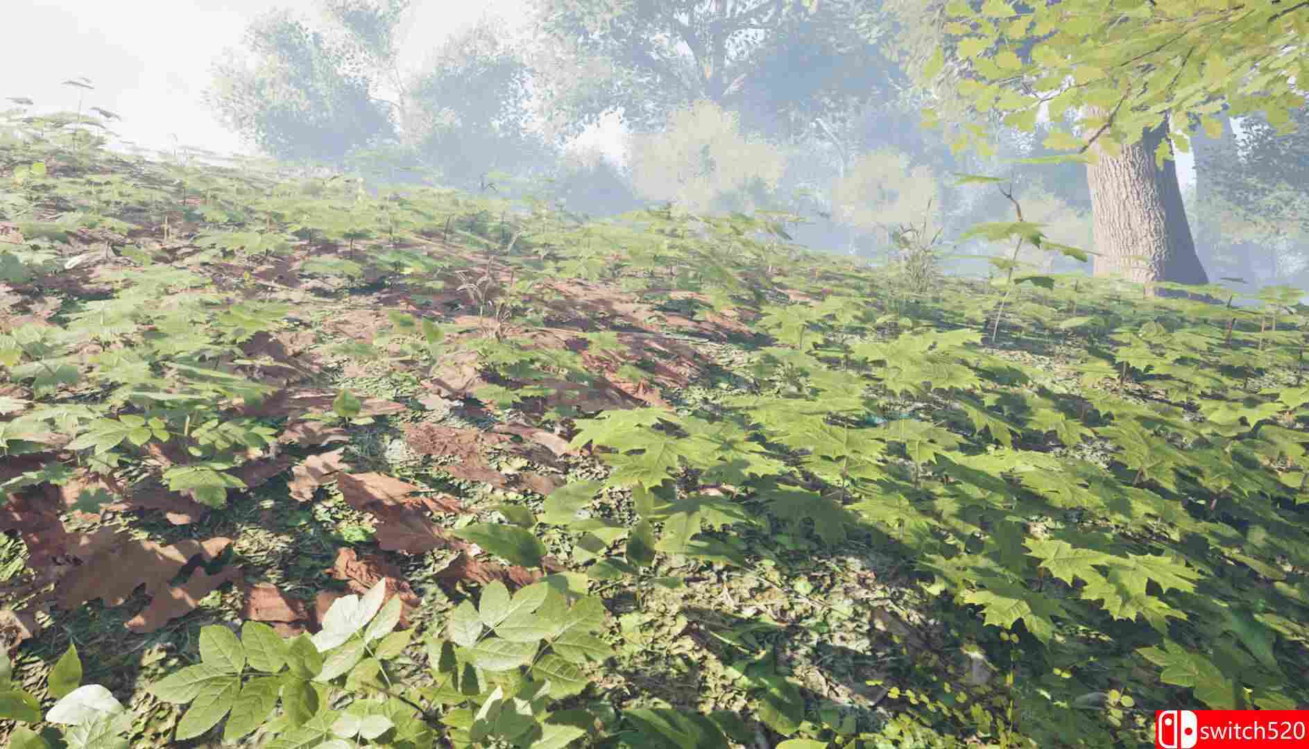 《草药猎人（Herbal Hunter）》TiNYiSO镜像版[EN]_5