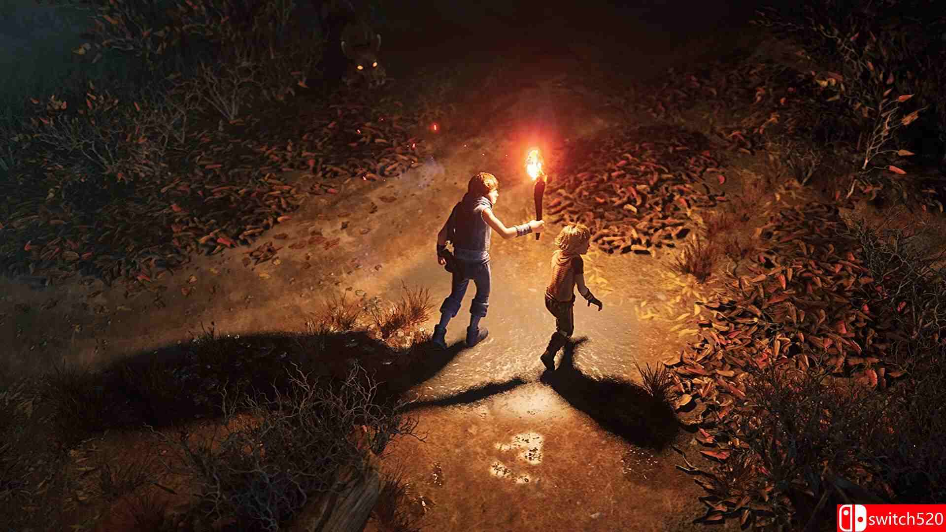 《兄弟：双子传说重制版（Brothers: A Tale of Two Sons Remake）》 FLT镜像版[CN/TW/EN/JP]_1