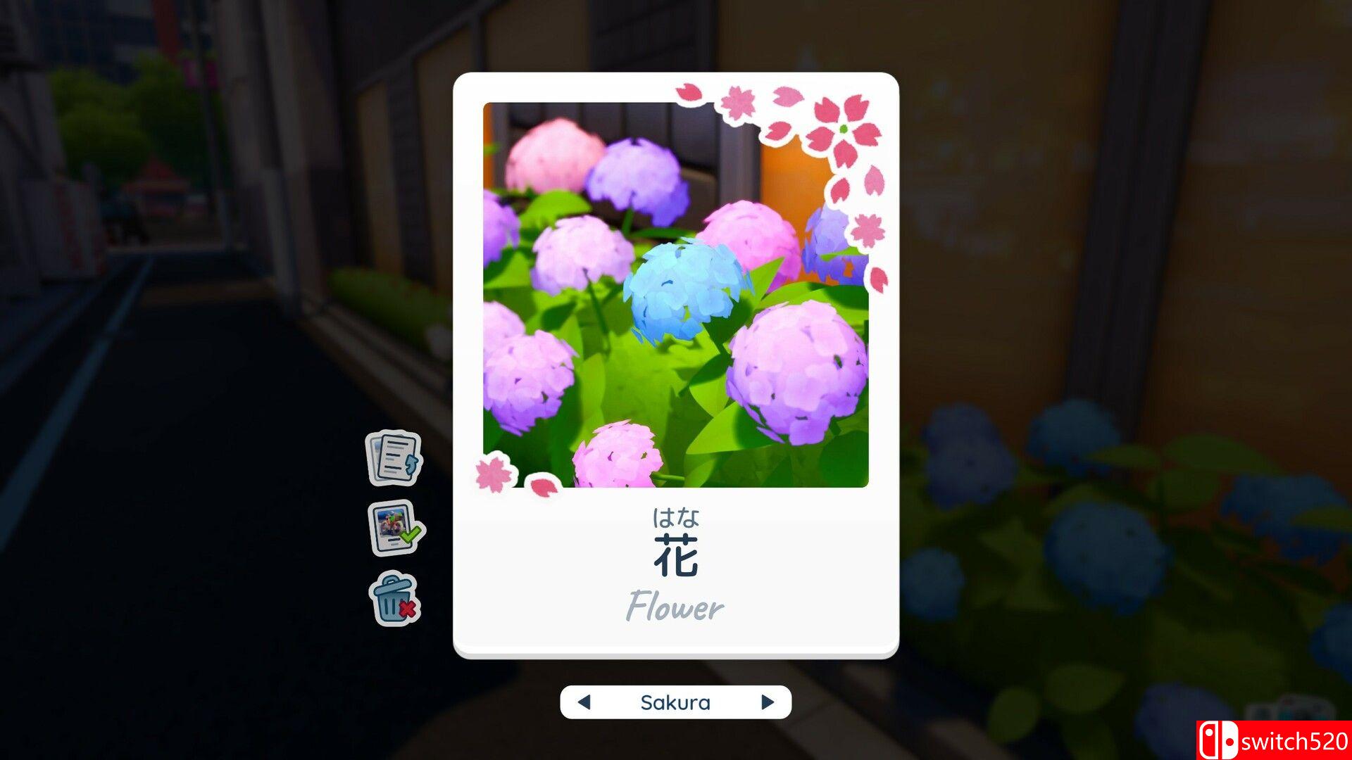 《写真语（Shashingo: Learn Japanese with Photography）》TENOKE镜像版[EN]_5