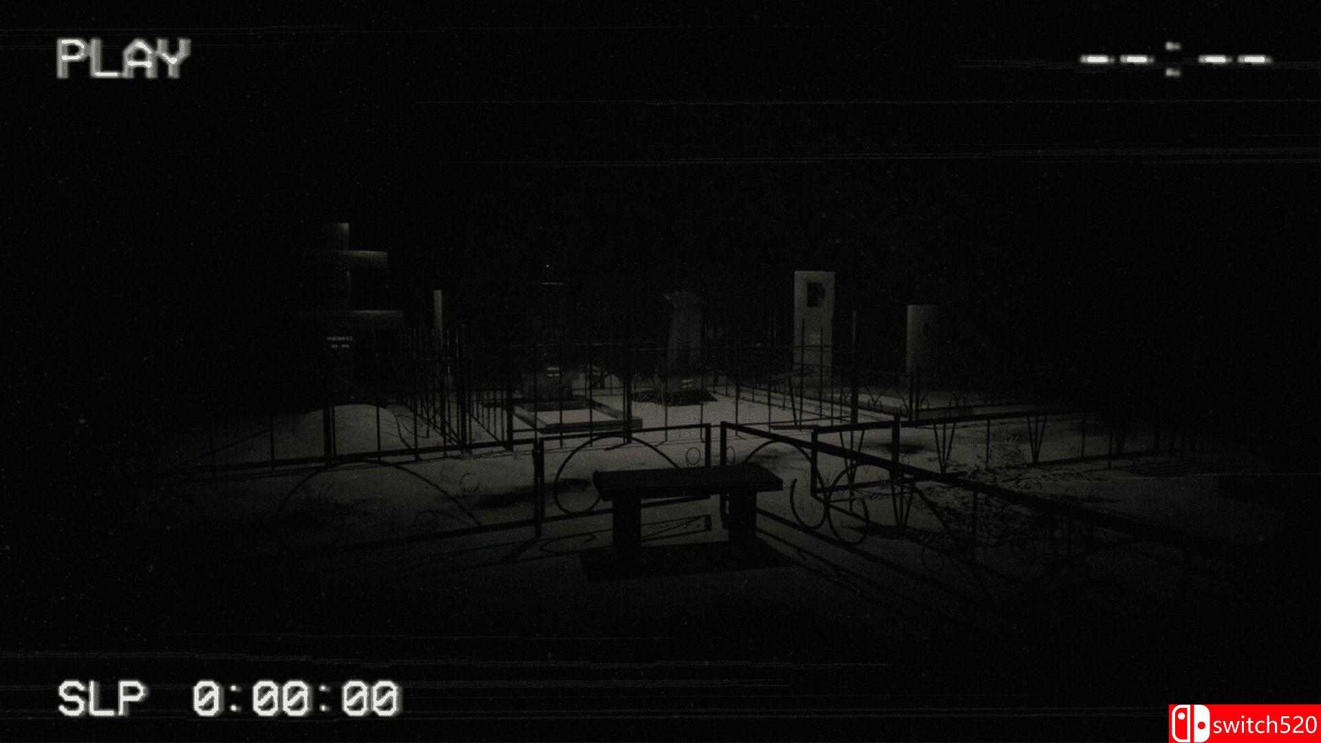 《超自然：寻踪实录（Paranormal: Found Footage）》TENOKE镜像版[EN]_4