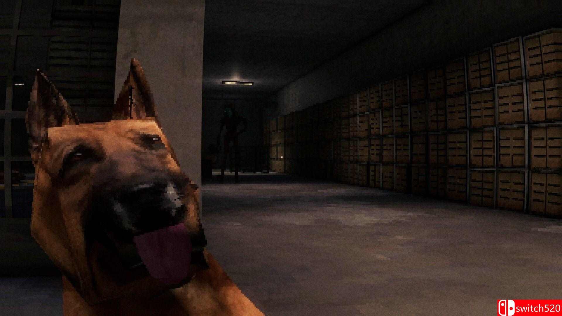 《犬类（CANINE）》官方中文 rG硬盘版[CN/EN/JP]_1