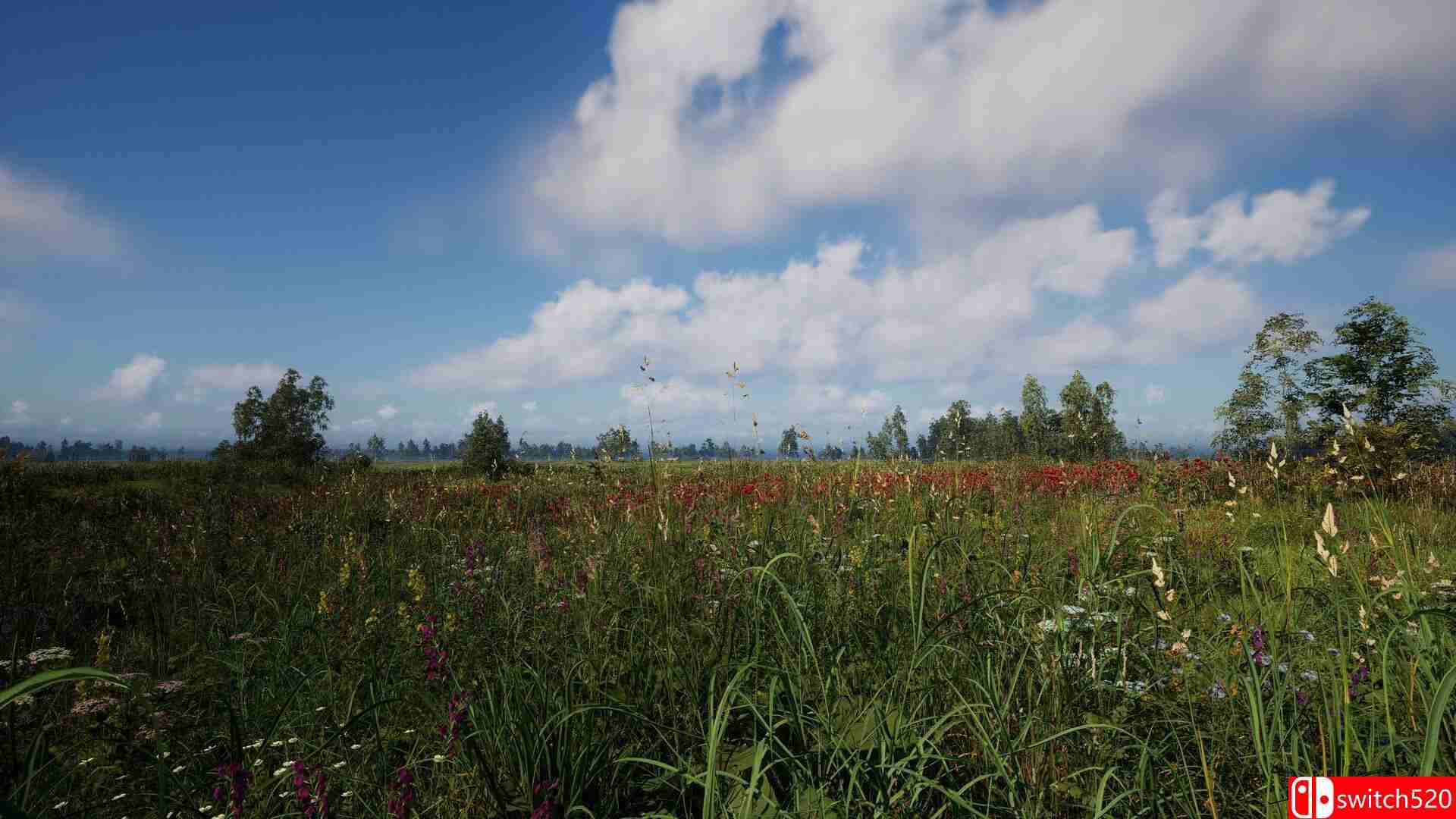 《俄罗斯灵魂模拟器（Russian Soul Simulator）》TENOKE镜像版[EN]_1