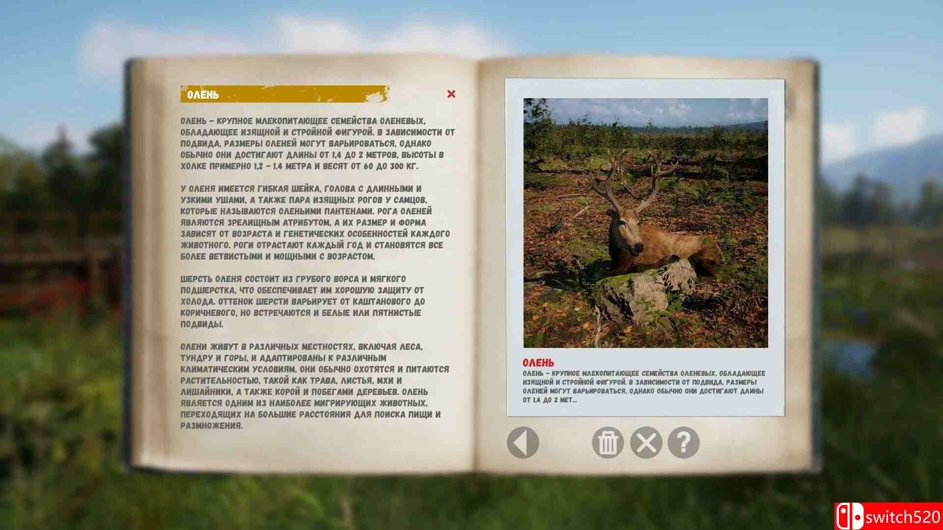《俄罗斯灵魂模拟器（Russian Soul Simulator）》TENOKE镜像版[EN]_3