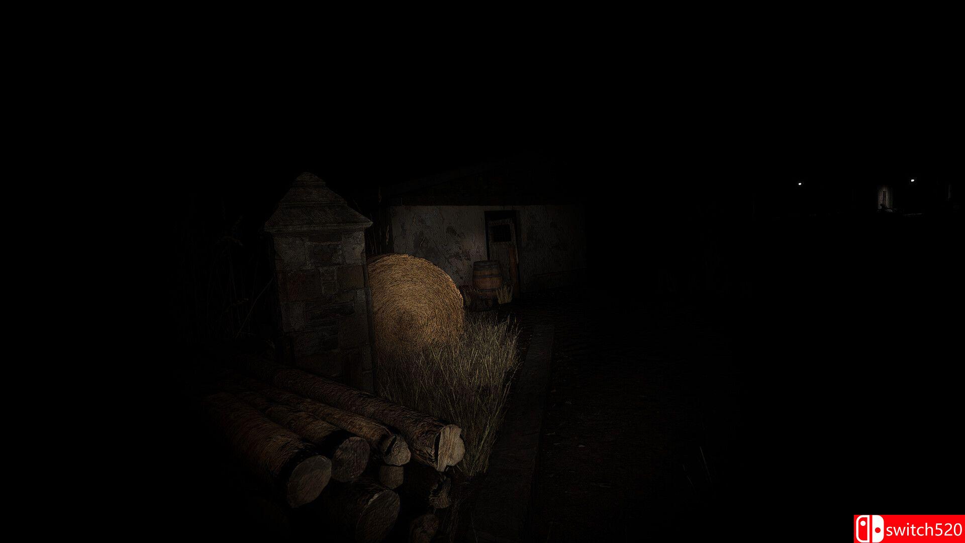 《深度睡眠：开始（Deep Sleep: The Beggining）》TiNYiSO镜像版[EN]_5