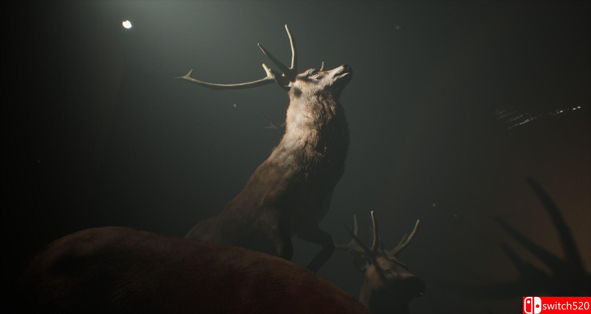 《项目13：标本之路（Project 13: Taxidermy Trails）》TENOKE镜像版[EN]_1