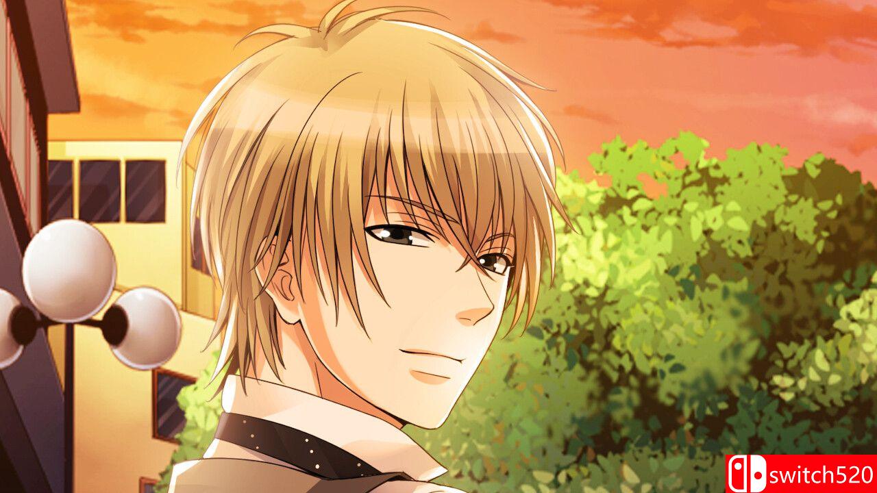 《我的伪造婚礼（My Forged Wedding）》TENOKE镜像版[EN/JP]_3