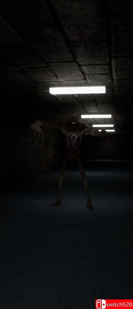 《走廊（The Corridors）》bADkARMA硬盘版[EN]_3