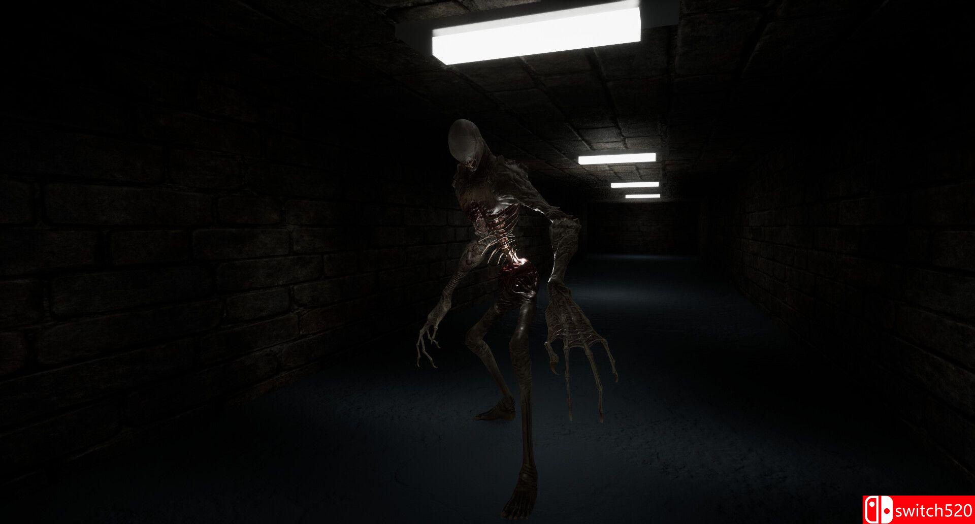 《走廊（The Corridors）》bADkARMA硬盘版[EN]_1