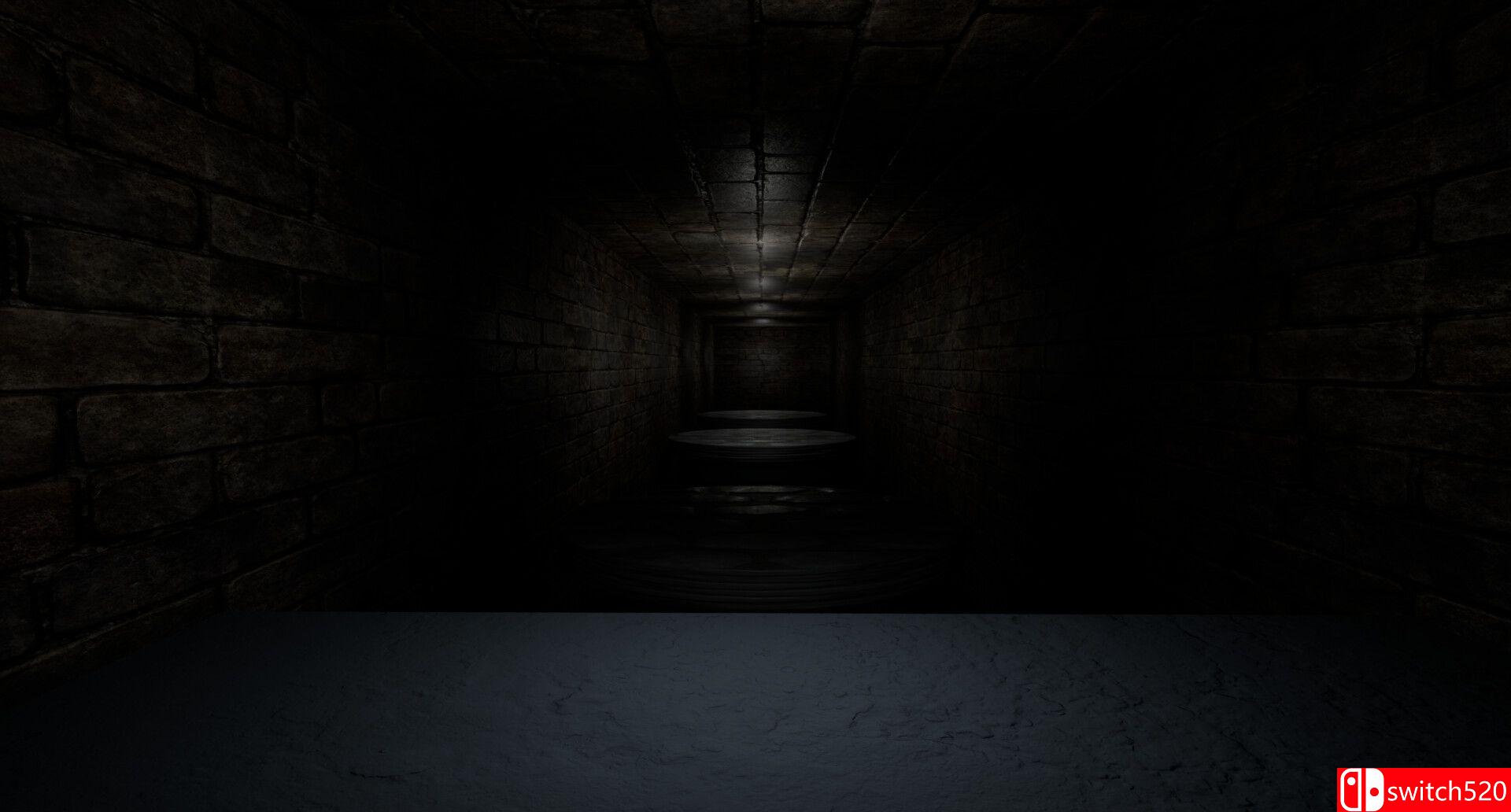 《走廊（The Corridors）》bADkARMA硬盘版[EN]_5