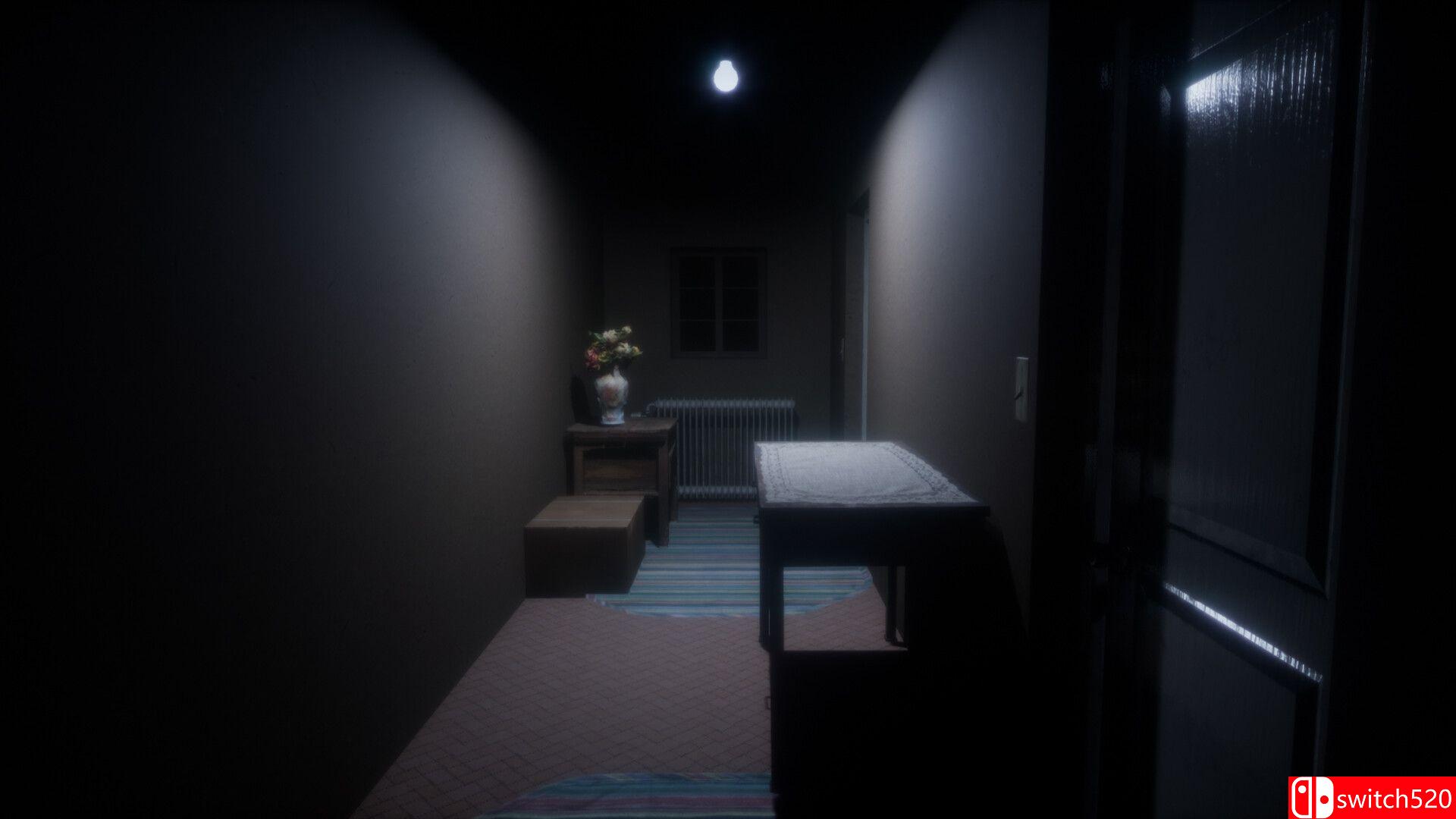 《暗镜（Dark Mirror）》TENOKE镜像版[EN]_3