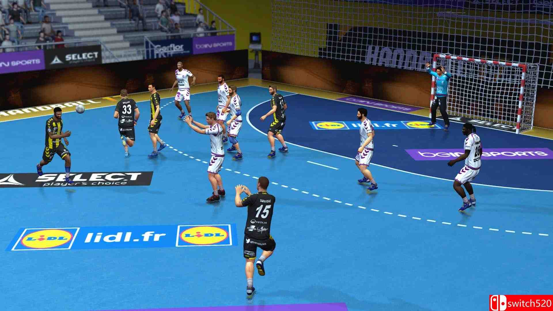 《手球17（Handball 17）》DELUSIONAL硬盘版[EN][更新]_4